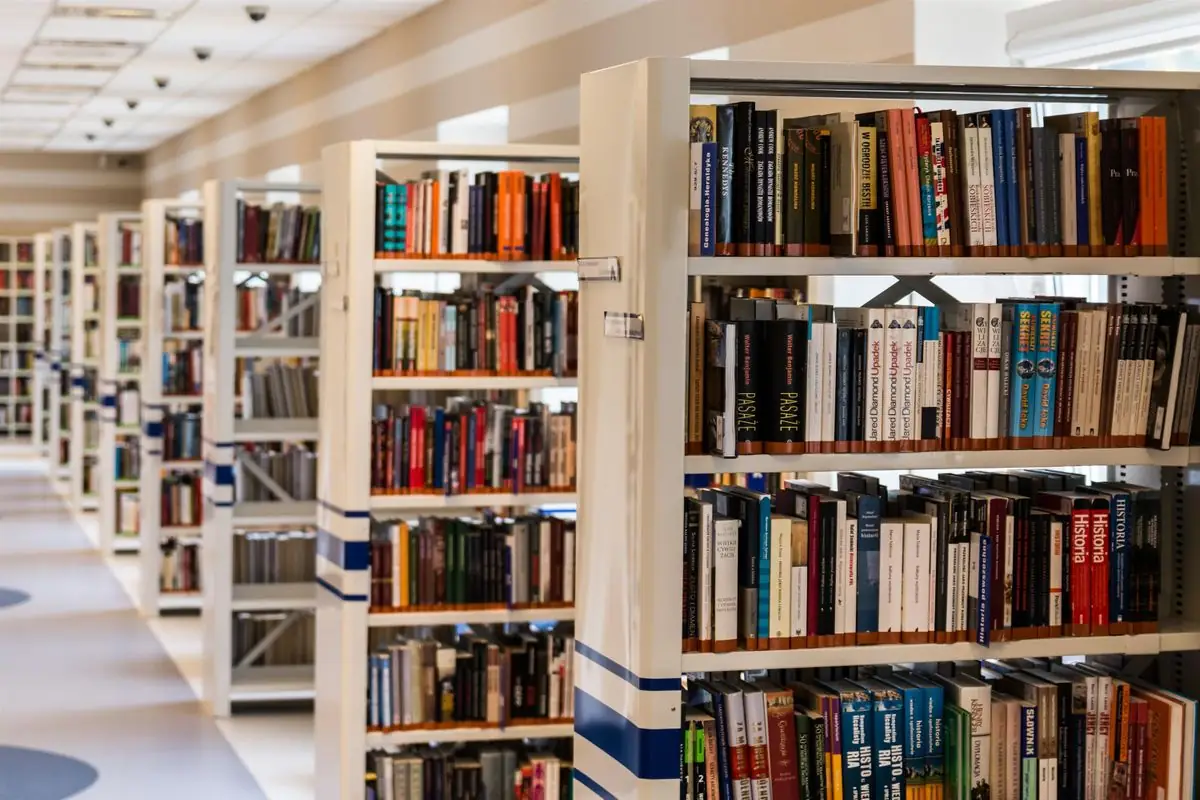 Everygen AI planning context: Library bookshelves for an editorial illustration brief