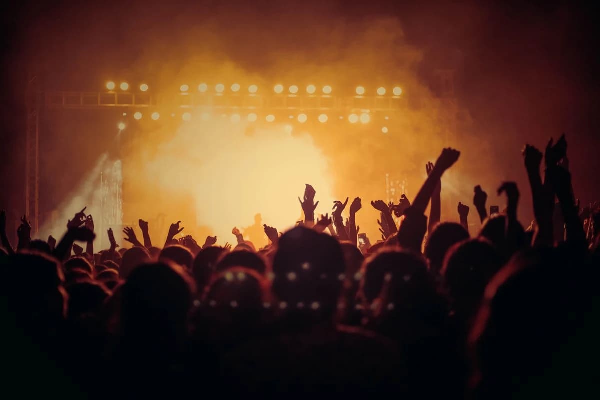 Everygen AI planning context: Concert crowd for an event artwork brief